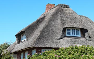 thatch roofing Whitehill