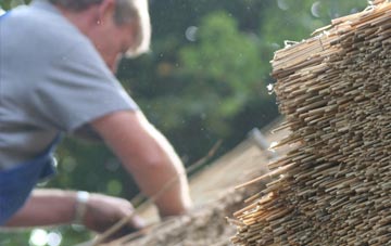 professional Whitehill thatchers